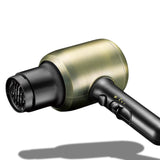 Professional Ionic Hair Dryer